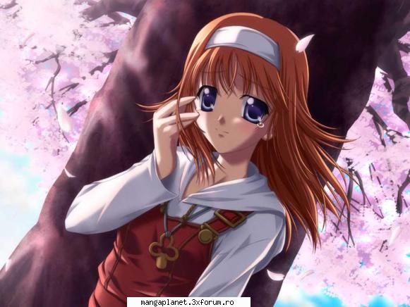 picz akane surioara